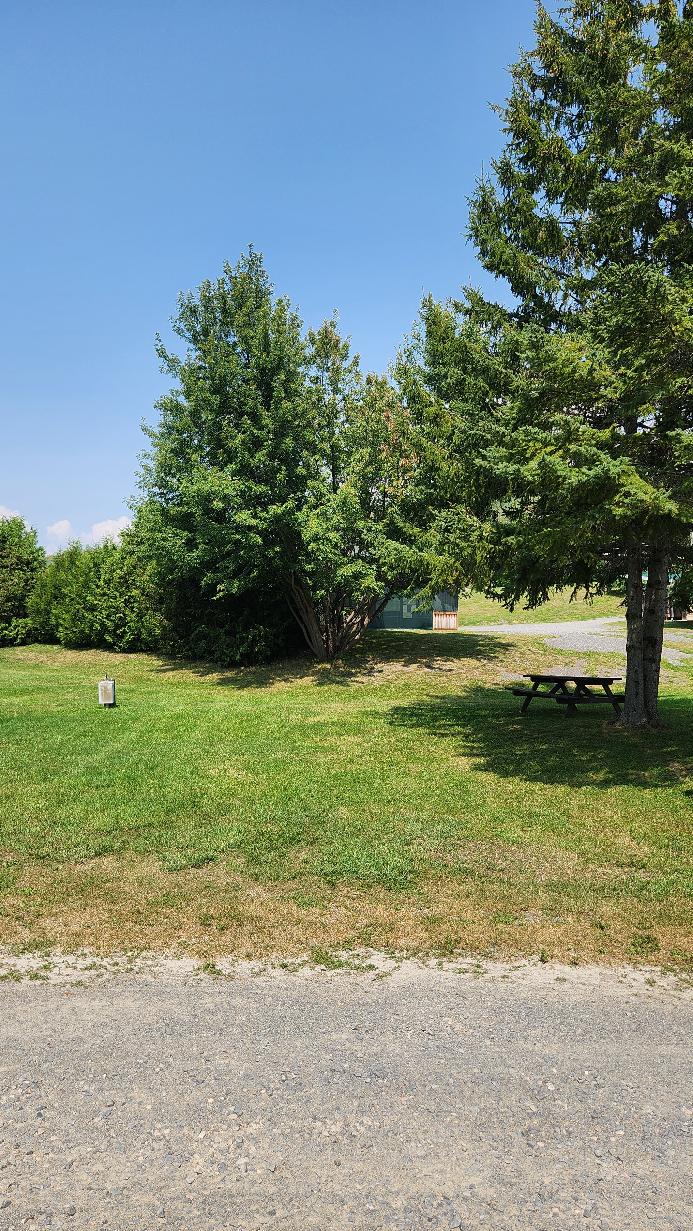 Lot 78