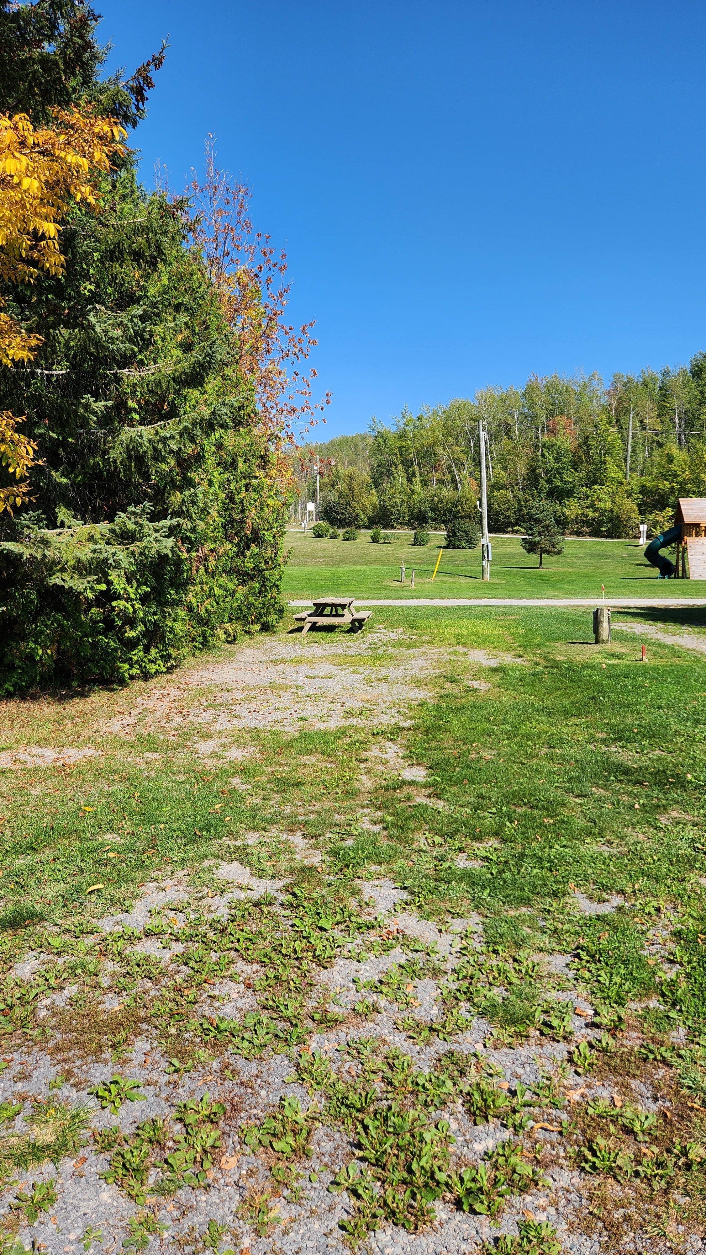 Lot 91