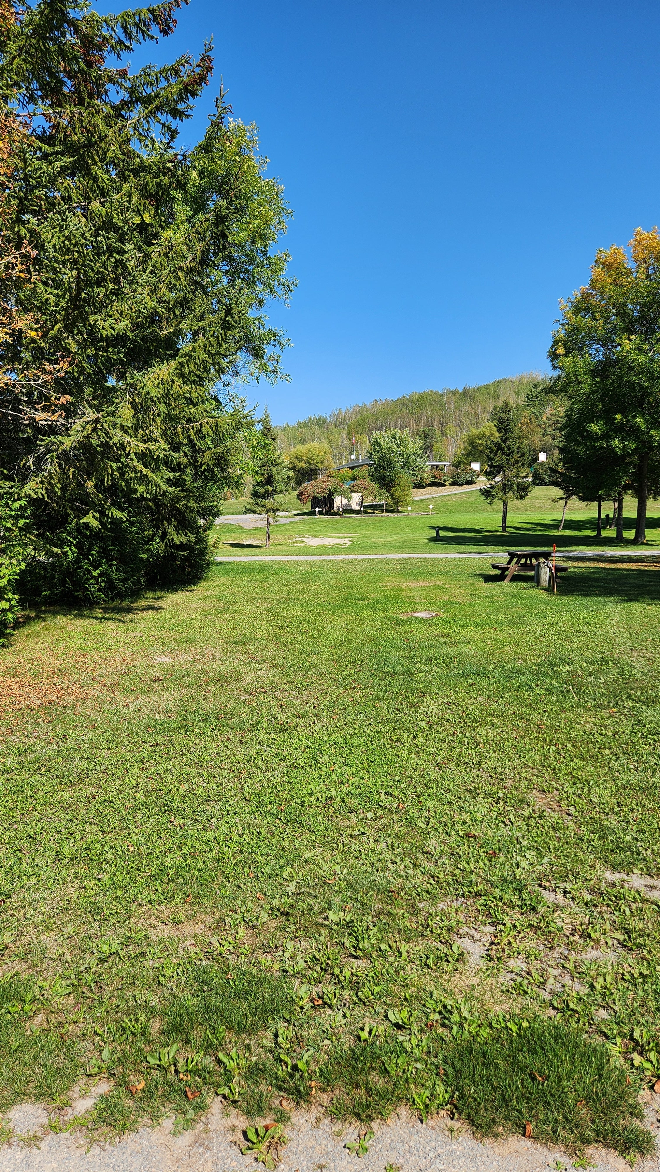 Lot 95