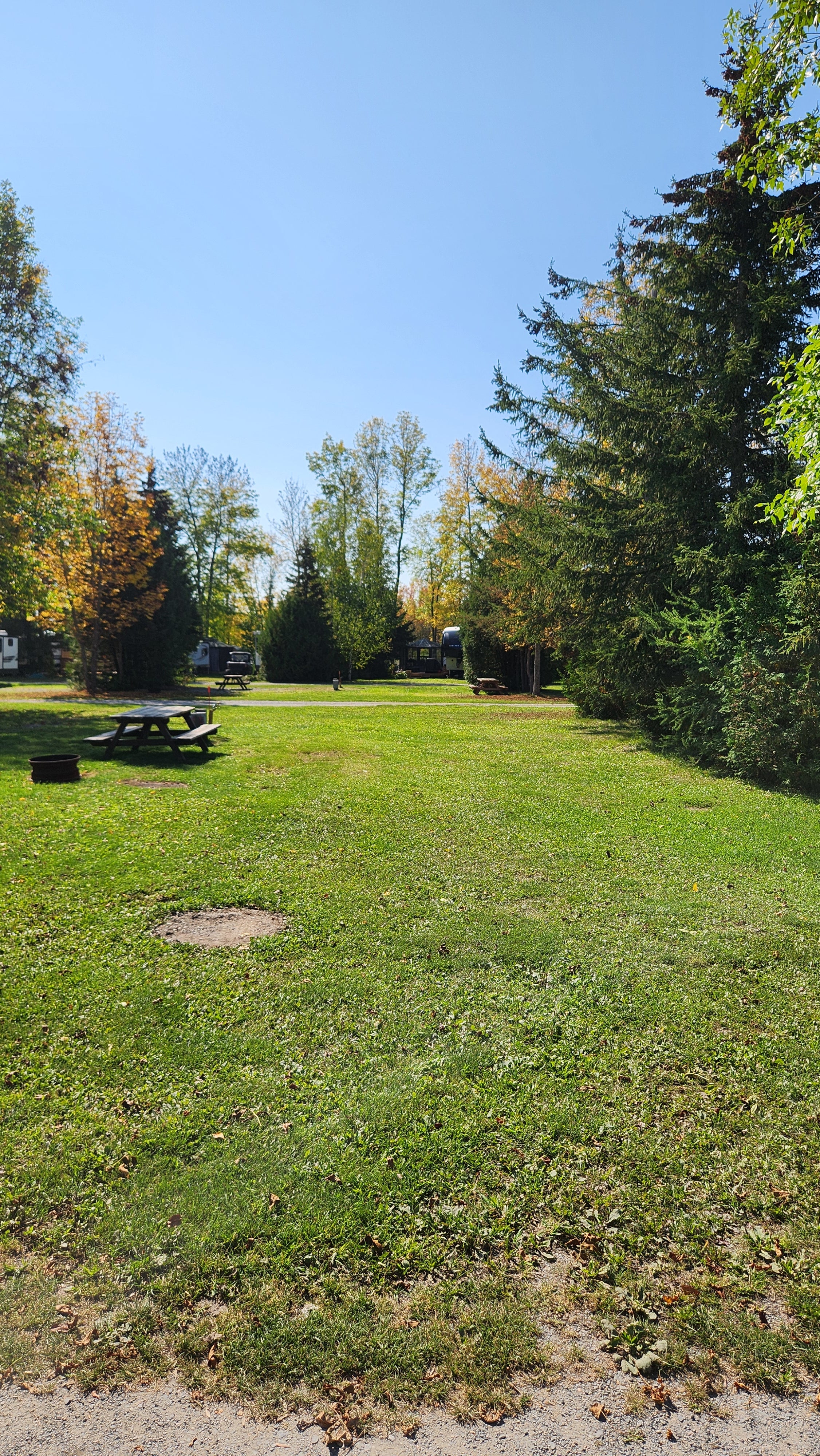 Lot 95