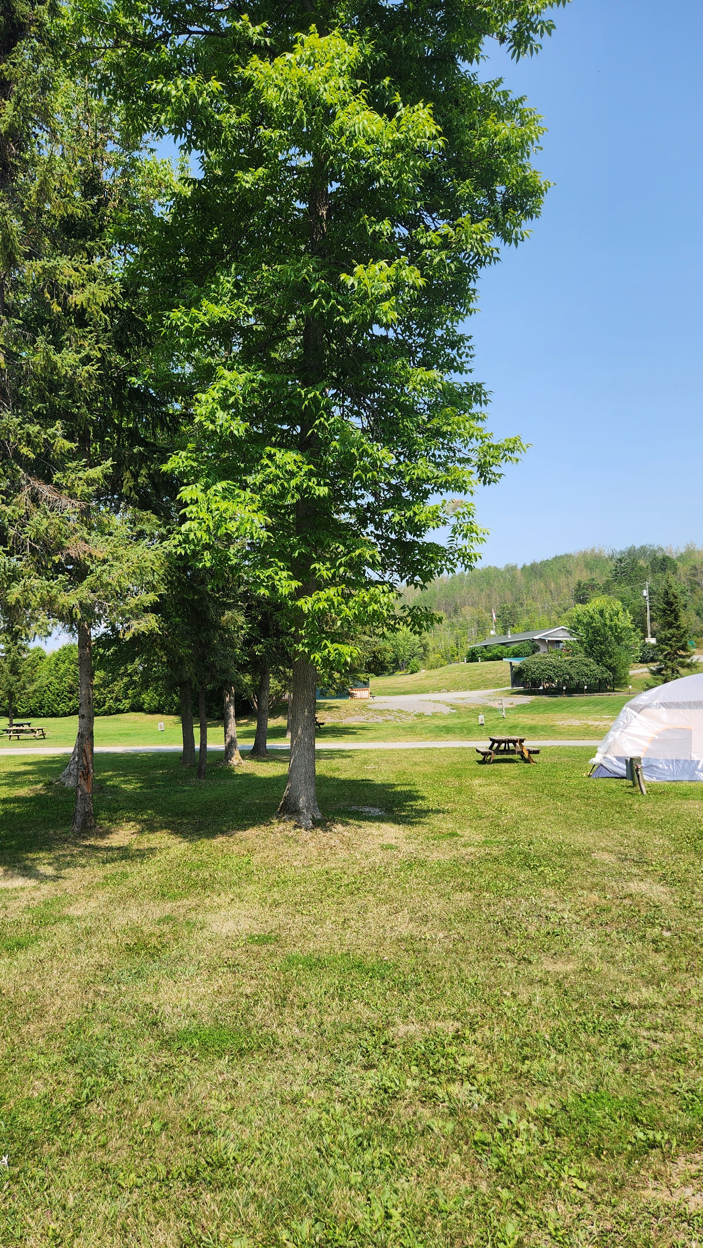 Lot 97