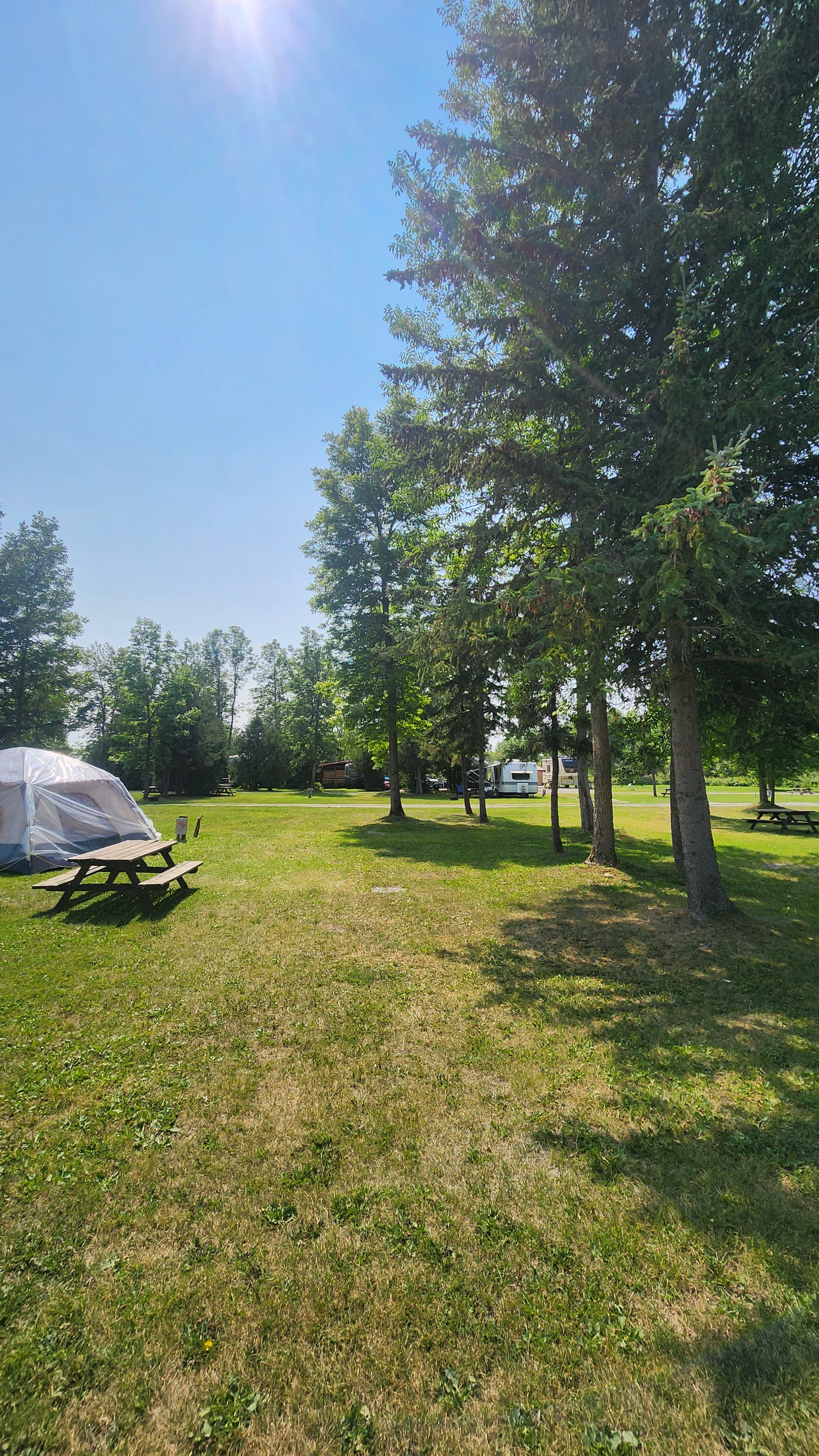 Lot 97
