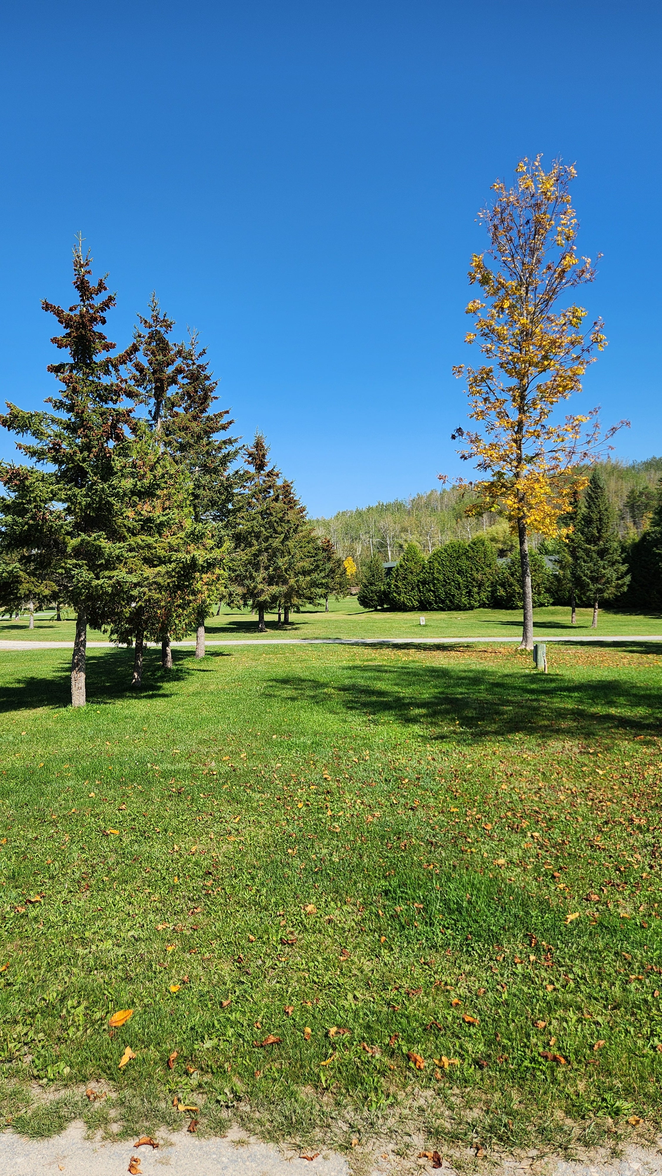 Lot 101