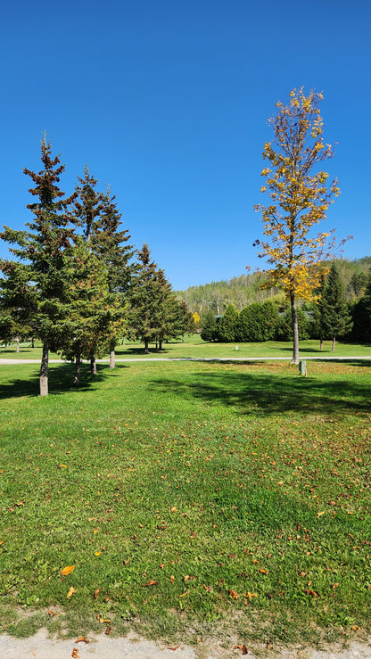 Lot 101