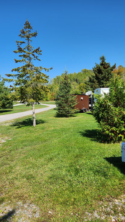 Lot 62