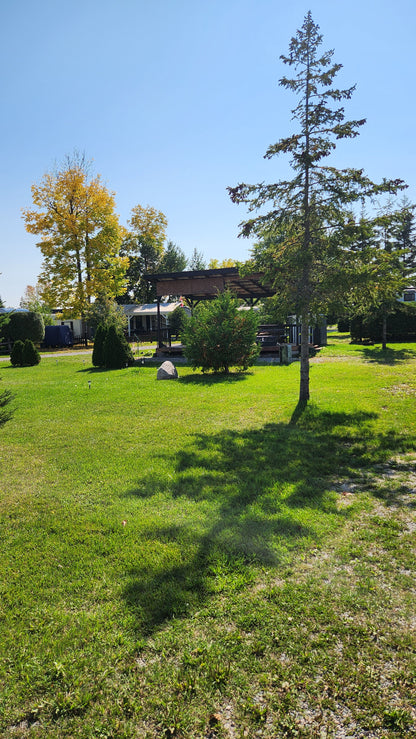 Lot 62