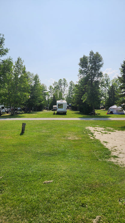 Lot 75
