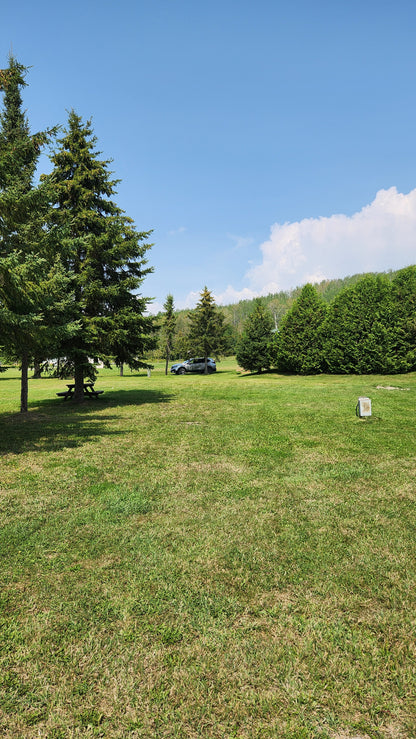 Lot 81
