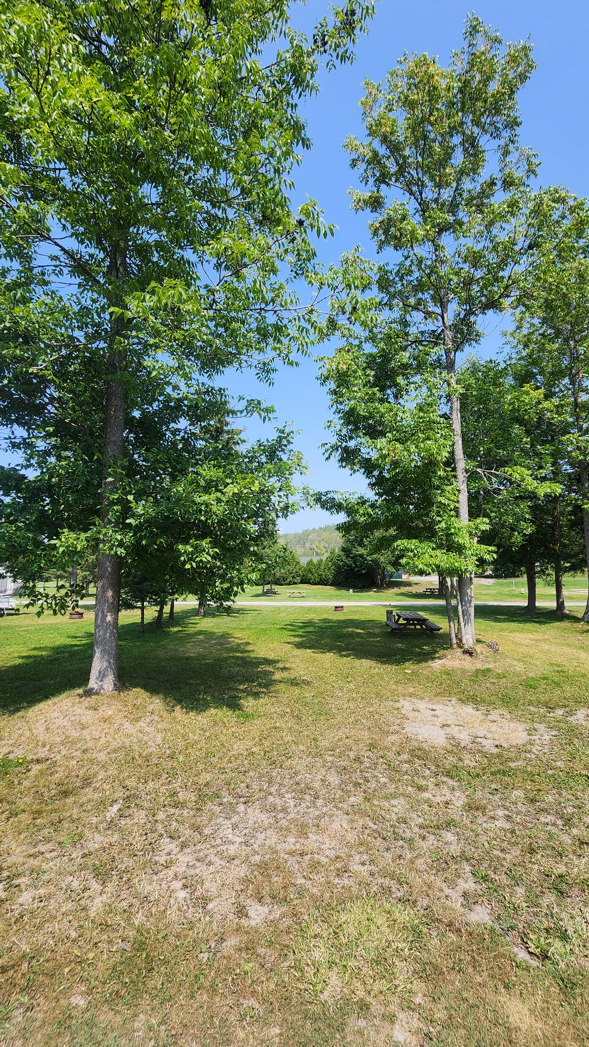 Lot 99